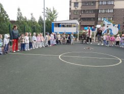 img (3)